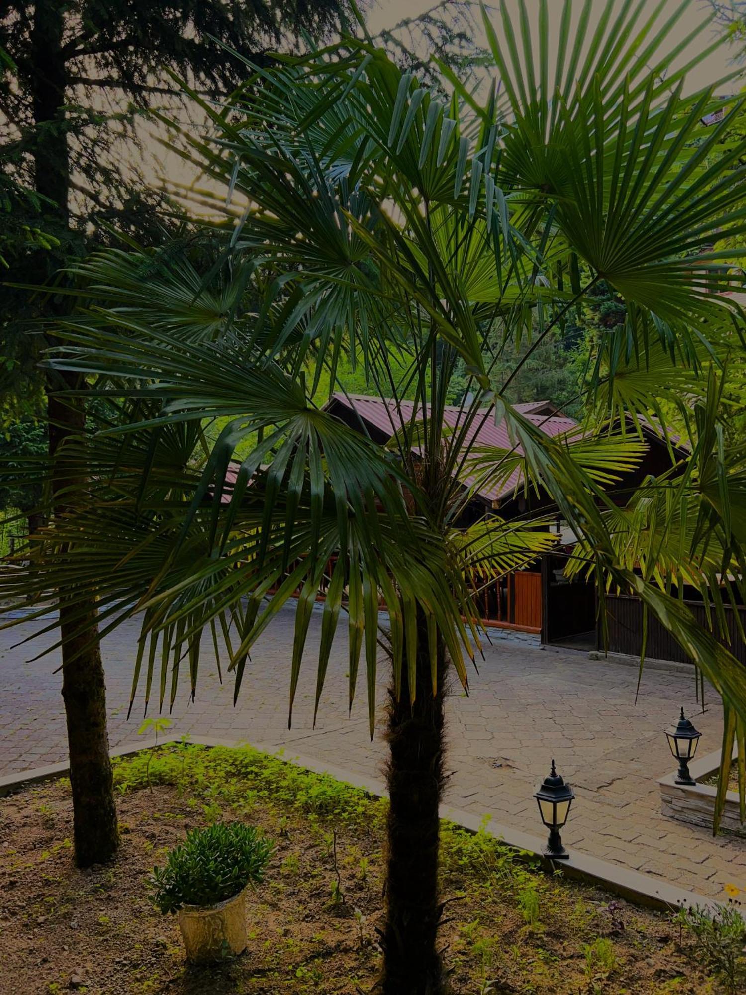 Isikli Kale Hotel Caykara Exterior foto